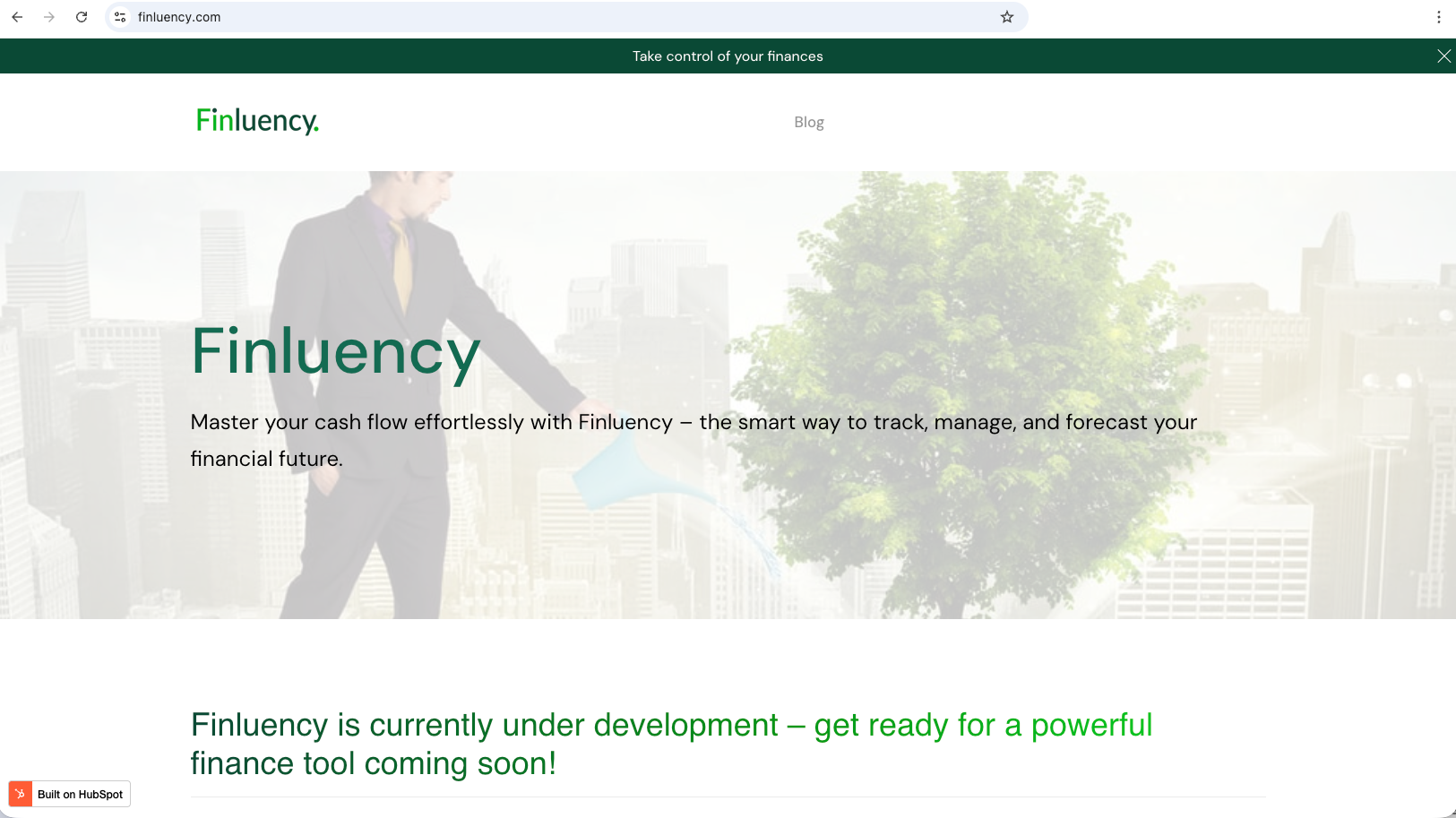 Finluency's initial homepage built with HubSpot